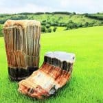 From Stone to Shine: A Step-by-Step Journey on How to Clean Petrified Wood